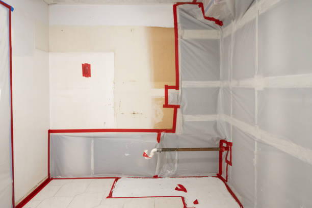 Best Mold Remediation for Healthcare Facilities  in Siesta Key, FL