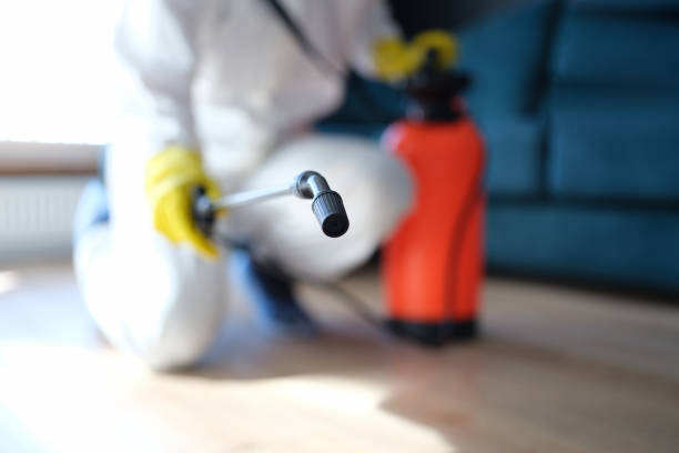 Asbestos and Lead Testing During Mold Inspection in Siesta Key, FL