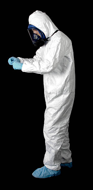 Reliable Siesta Key, FL Mold Removal Solutions